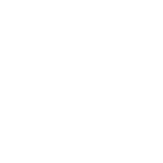 Symbol  shield