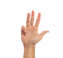 Hand zeigt Anzahl Finger: 4